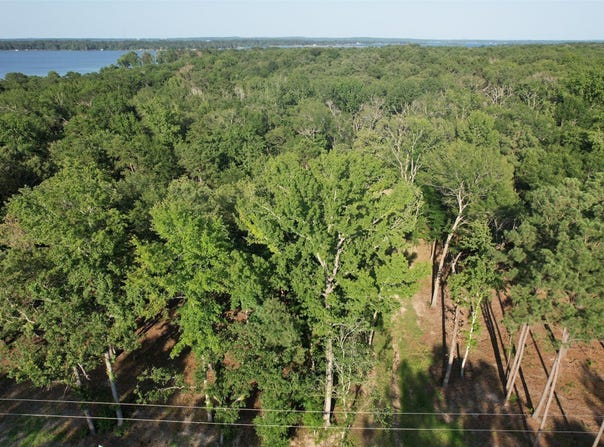 3226 Shadow Pine Drive, Larue, TX 75770