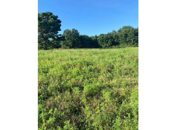 Tract 2 E1252  Road, Whitefield, OK 74462