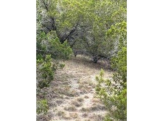 8702 Tepee CV, Lago Vista, TX 78645