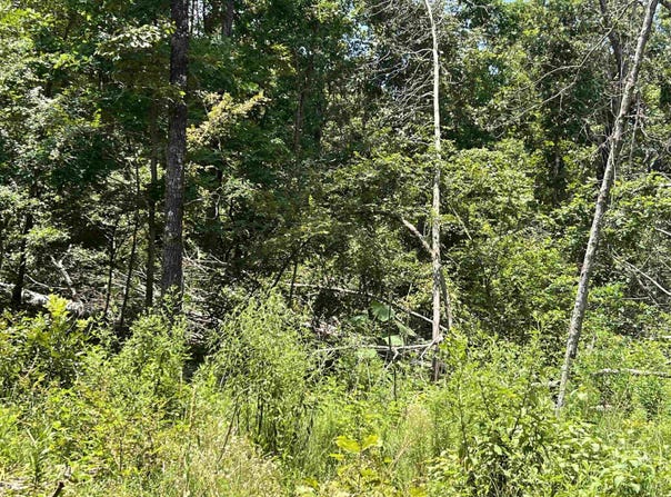 000 Foxfield Road, Mammoth Spring, AR 72554