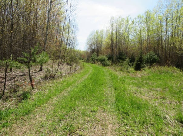 TBD  Rice Lake Road, Lake Linden, MI 49945
