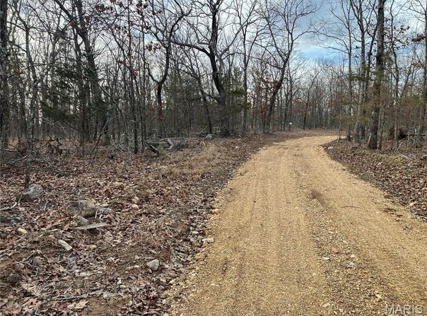 76 Madison CR 410, Fredericktown, MO 63645