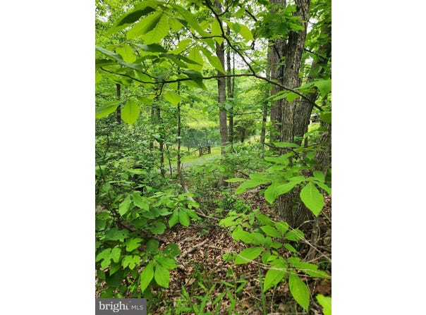 1367 ED ARNOLD ROAD, AUGUSTA, WV 26704