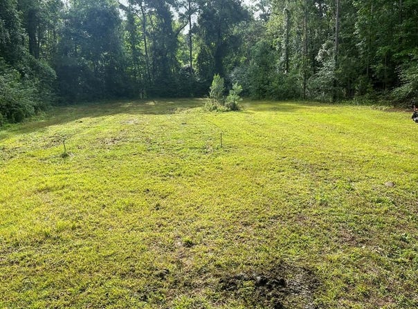 103 Creekside Ln, Cairo, GA 39828