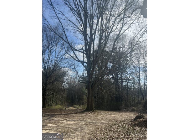 98 Pine Shadows Drive, Dallas, GA 30157
