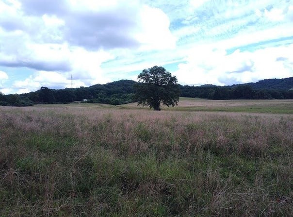 460 Skaggs Road, Morehead, KY 40351