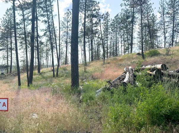 Nka Lower Weaver Lot A Way, Deer Park, WA 99006