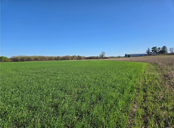 16.74 Acres County Road N, Wheeler, WI 54772