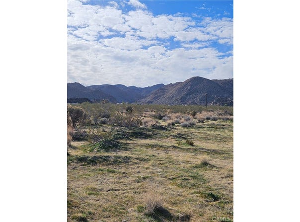 Cottonwood Drive, Joshua Tree, CA 92252