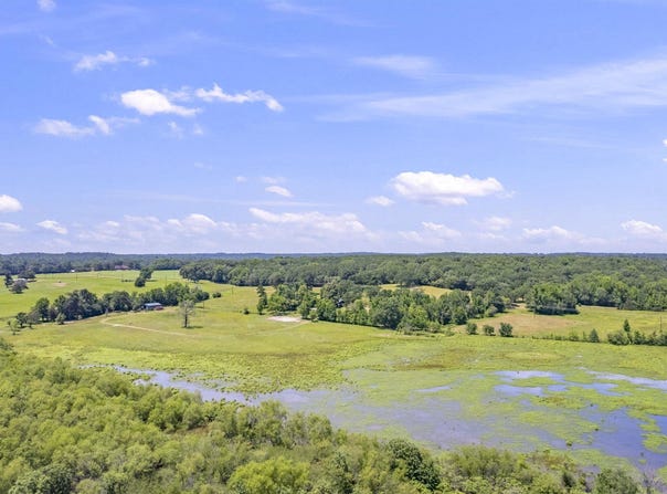 12250 CR 3513, Brownsboro, TX 75756