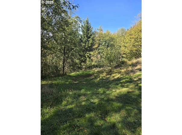 0 2500 RD, Toutle, WA 98649