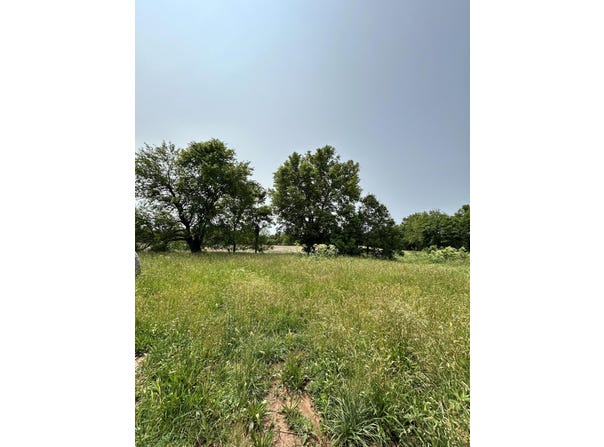 Lot 1 S State Highway T, Springfield, MO 65802