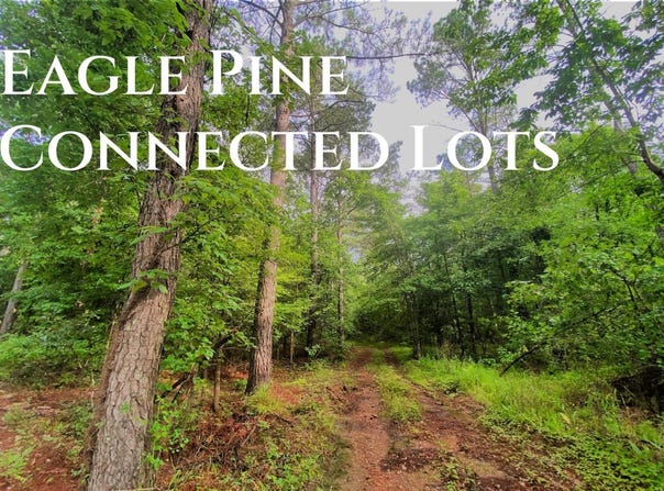 71 Eagle Pine Ln, Broken Bow, OK 74728