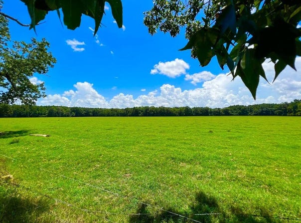 707 County Road 223, New Brockton, AL 36351