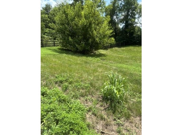 305 Lynnwood Drive, Nicholasville, KY 40356