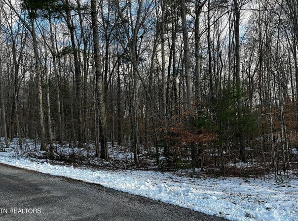 Lot 3 Evergreen Drive, Oneida, TN 37841