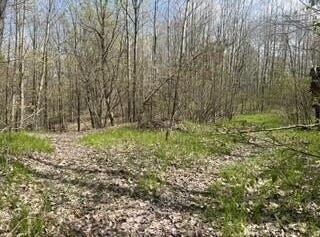 Tbd Pierce Road, Stanwood, MI 49346