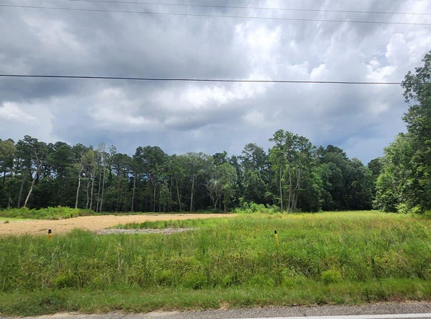 30416 Cane Market Rd, Walker, LA 70785