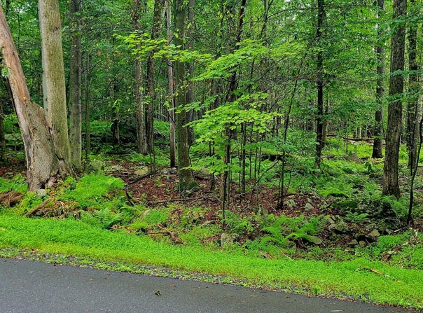 Lot 461 W Creek View Drive, Clifton Township, PA 18424