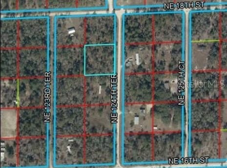 NE 124TH Terrace, WILLISTON, FL 32696