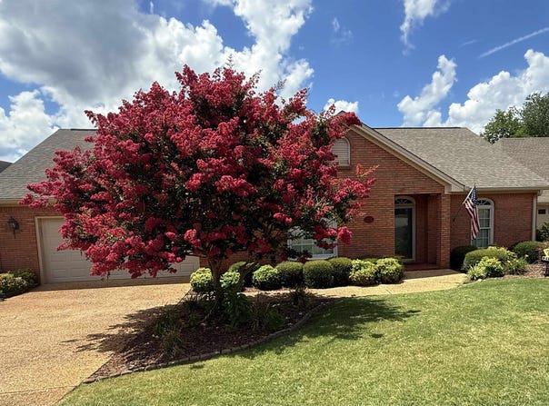 213 Laura Ct, Florence, AL 35630