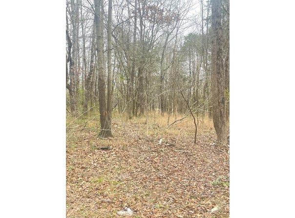 937 MATTHEWS CORNER RD., BYHALIA, MS 38611