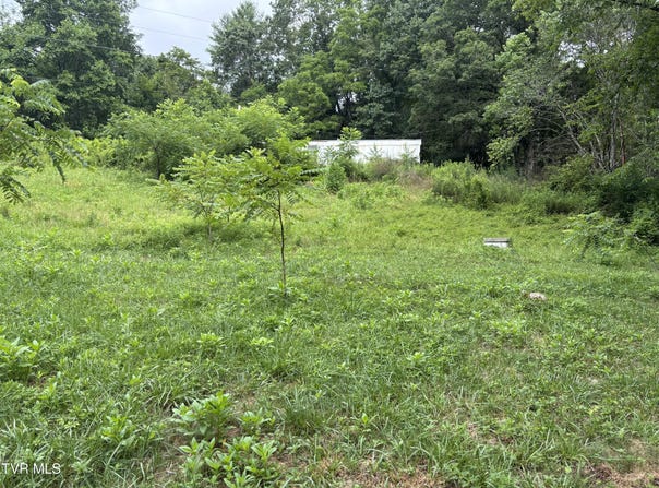 Tbd Of Fire Tower Road, Mountain City, TN 37683