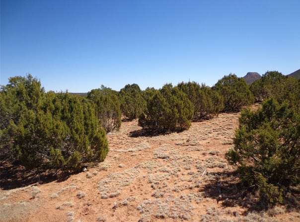 Tract 2A Camino del Sol, NM 87569