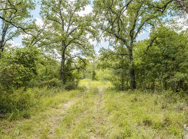 418-b County Road 405, Buckholts, TX 76518