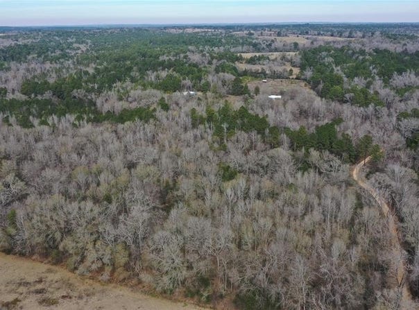 Tbd Lot 5 County Road 2240, Grapeland, TX 75844
