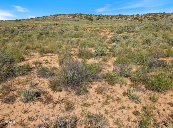 W Flake Avenue, Snowflake, AZ 85937
