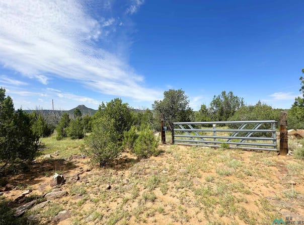 10 Acres On County Road B26d, Serafina, NM 87569