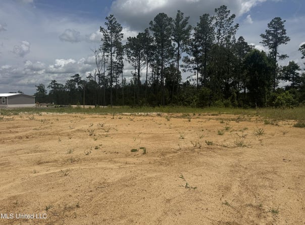 Wire Road, Pelahatchie, MS 39145