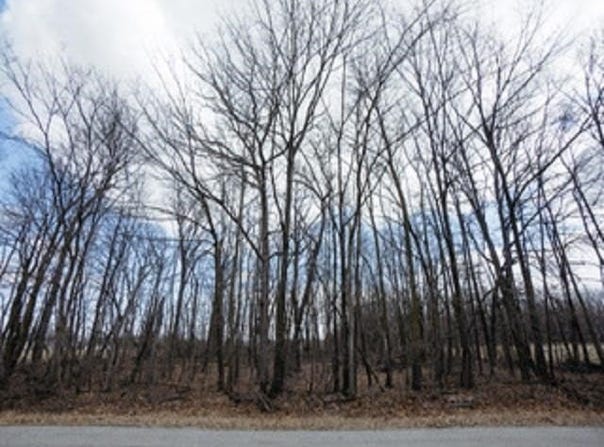 NELSON Road, FOND DU LAC, WI 54937