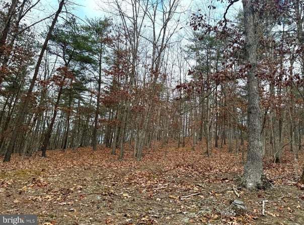 6 BEAVER RUN ROAD, BURLINGTON, WV 26710