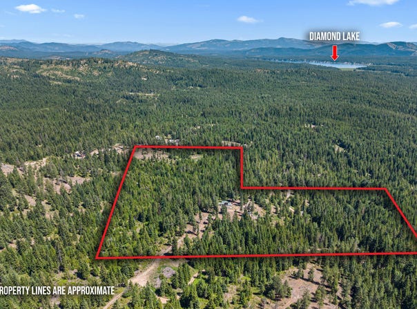 1022 SPRING HILL RD, NEWPORT, WA 99156