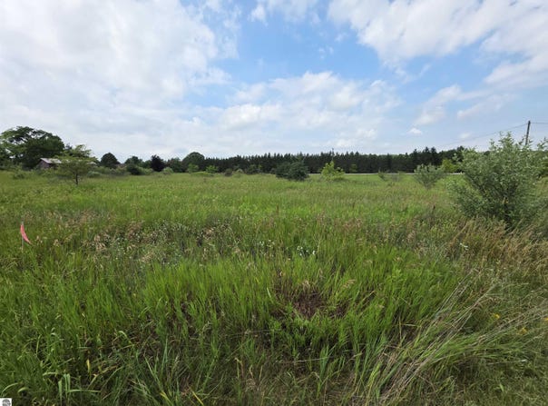 W Remus Road, Mt Pleasant, MI 48858