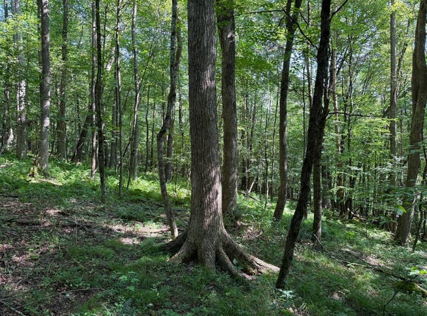 1181 Brown Hill Rd, Youngsville, PA 16371