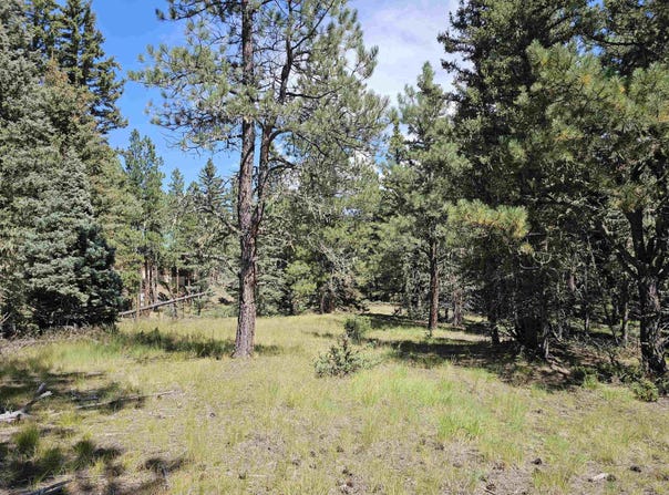 Calle de los Indios lot: 58, Angel Fire, NM 87710