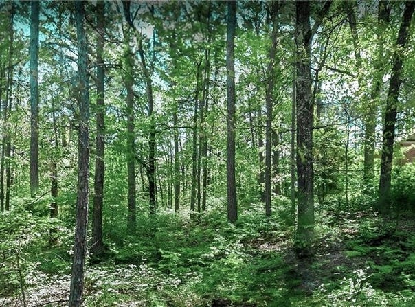 Lot 4 Leafield  LN, Bella Vista, AR 72714