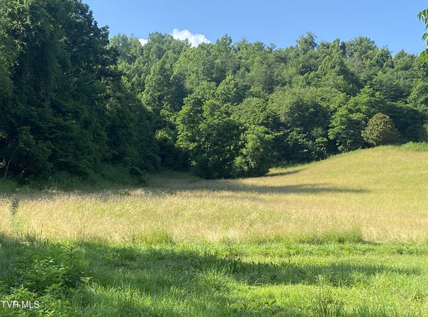 0 Rich Valley (9.23 Ac) Road, Abingdon, VA 24210