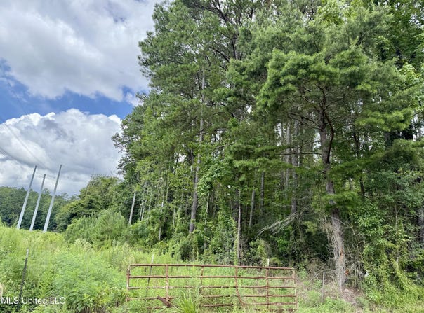 2194 Hwy 570 E, Summit, MS 39666