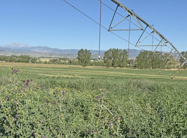 TBD W County Rd 4E, Berthoud, CO 80513