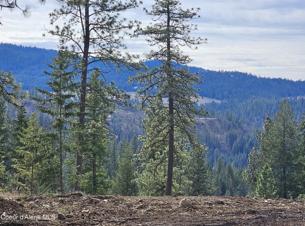 2252 E Badger Rd, Harrison, ID 83833
