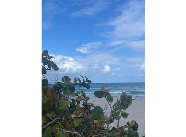 2080 S Ocean Dr 505, Hallandale Beach, FL 33009