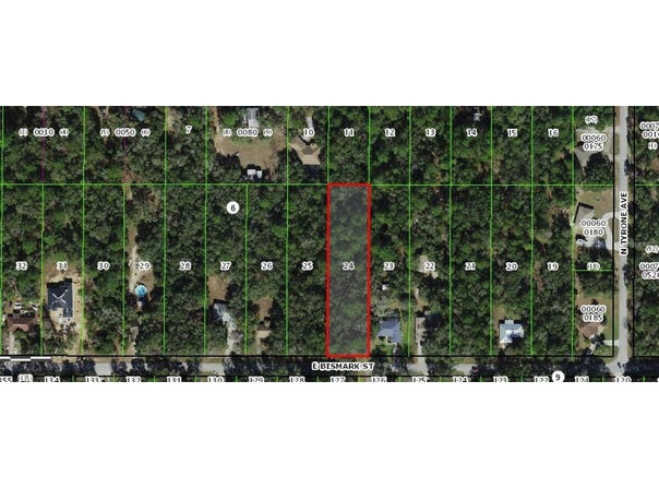 1191 E BISMARK STREET, HERNANDO, FL 34442