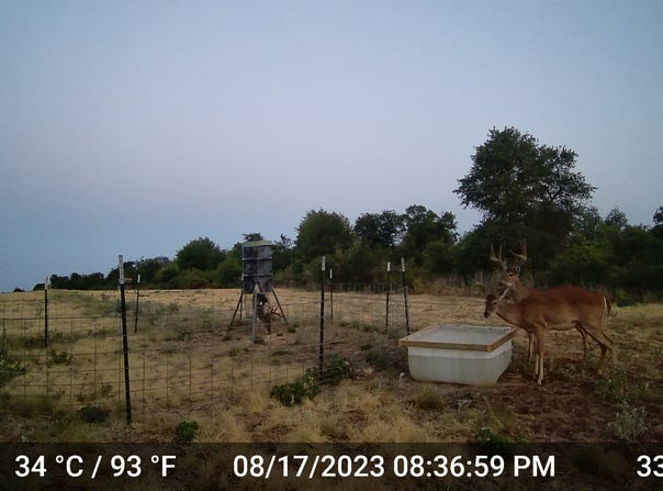 11653 FM 1226 Parcel C, Hawley, TX 79525