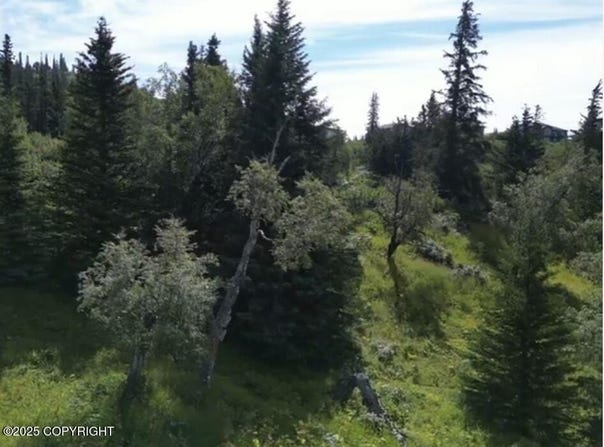 L6 Panoramic Circle, Anchorage, AK 99516