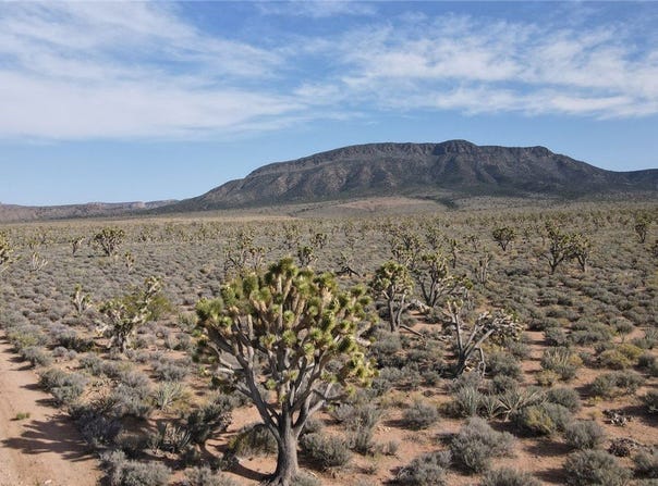 Lake Mead City unit: 410, Meadview, AZ 86444