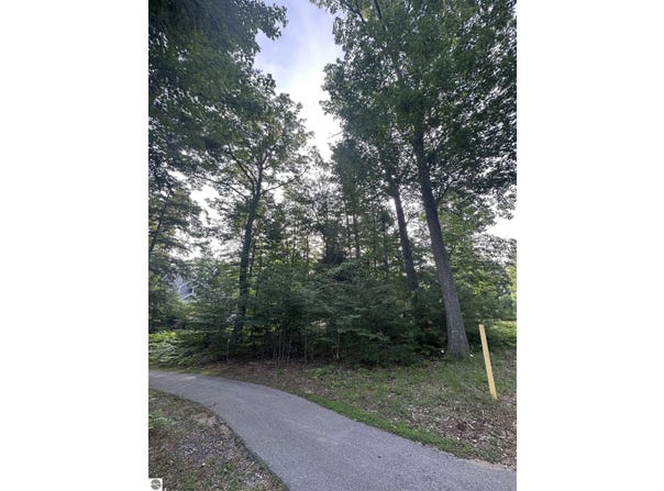 7 Deer Park, Glen Arbor, MI 49636